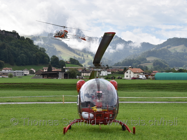 D-HELO