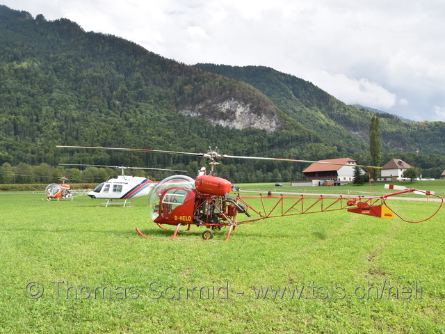 D-HELO