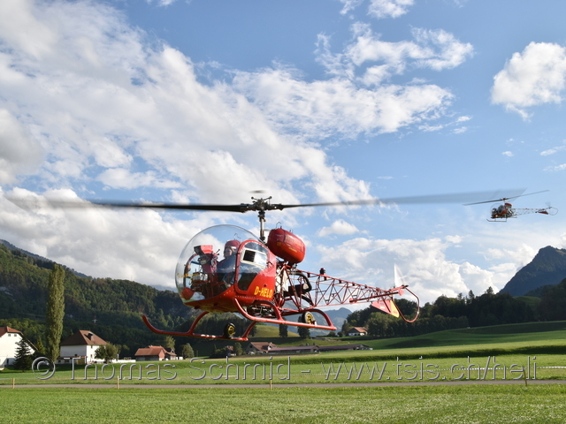D-HELO