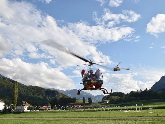 D-HELO