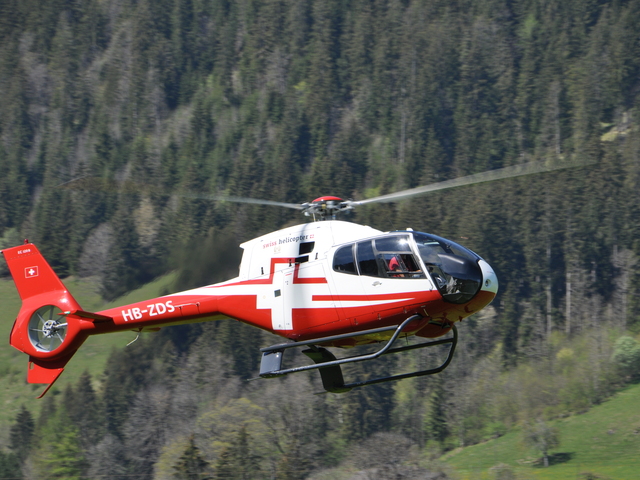 HB-ZDS