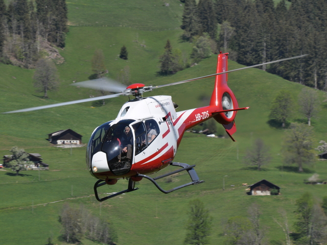 HB-ZDS