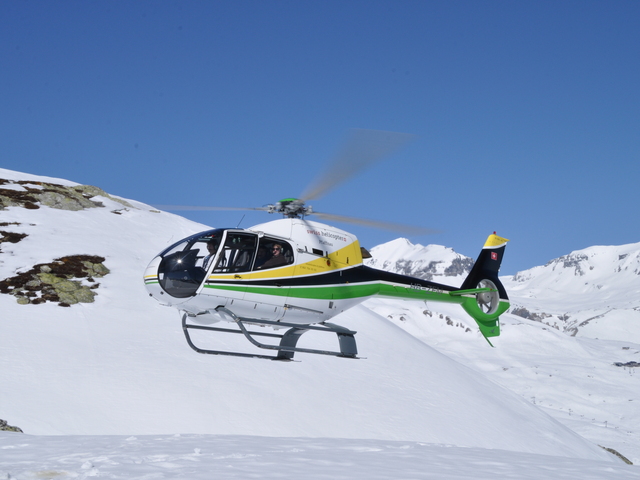 HB-ZFM