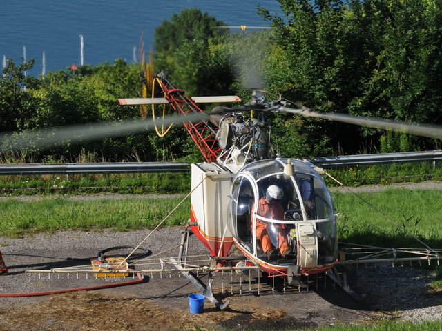 HB-XEO