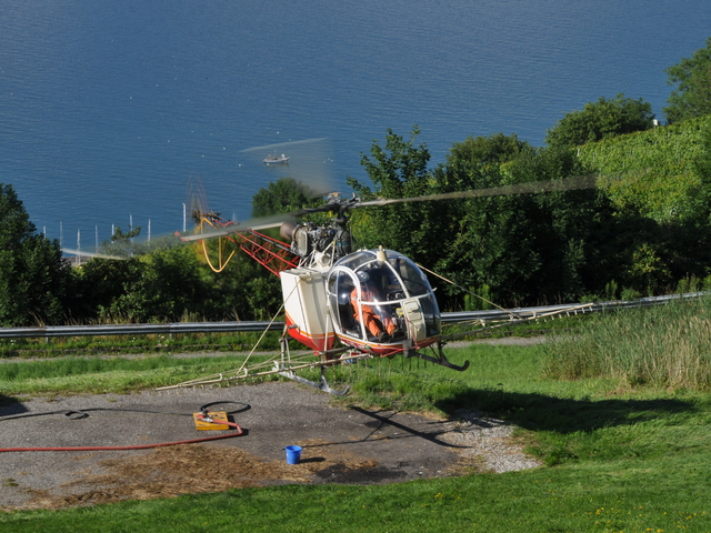 HB-XEO