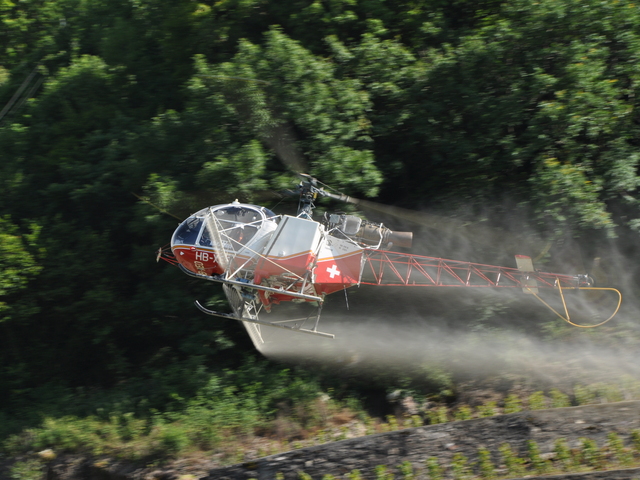 HB-XEO