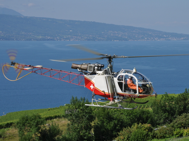 HB-XEO