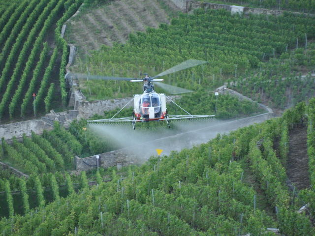 HB-XEO