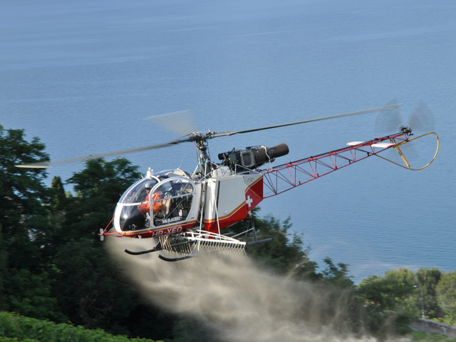 HB-XEO