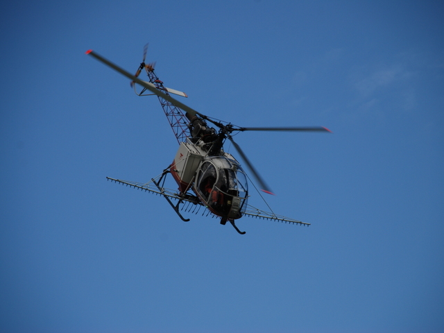 HB-XJN