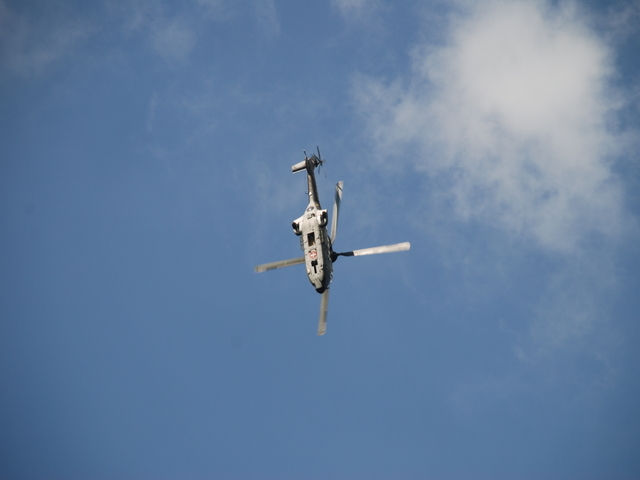 T-313