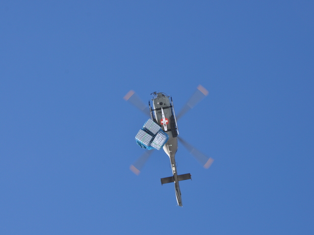 T-361