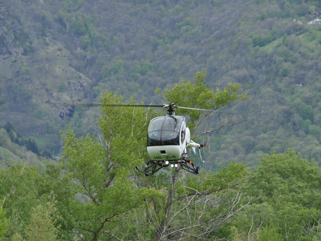 HB-ZLB